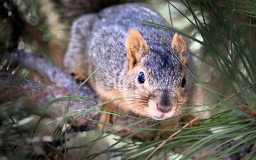 1755433 (a): :1920x1200